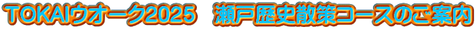 TOKAIEI[N2025@˗jUR[X̂ē